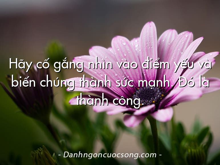 Hãy cố gắng nhìn vào điểm yếu và biến chúng thành sức mạnh. Đó là thành công.
