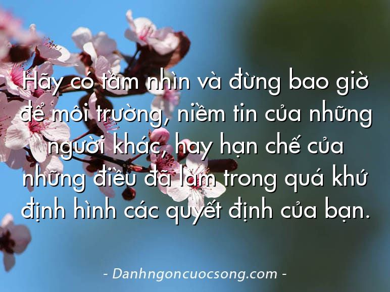 Hãy có tầm nhìn và đừng bao giờ để môi trường, niềm tin của những người khác, hay hạn chế của những điều đã làm trong quá khứ định hình các quyết định của bạn.