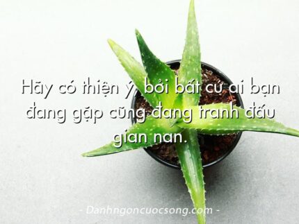 Hãy có thiện ý, bởi bất cứ ai bạn đang gặp cũng đang tranh đấu gian nan.
