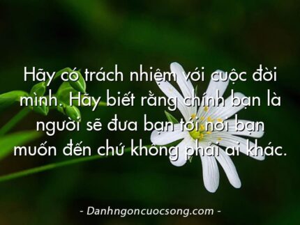 Hãy có trách nhiệm với cuộc đời mình. Hãy biết rằng chính bạn là người sẽ đưa bạn tới nơi bạn muốn đến chứ không phải ai khác.
