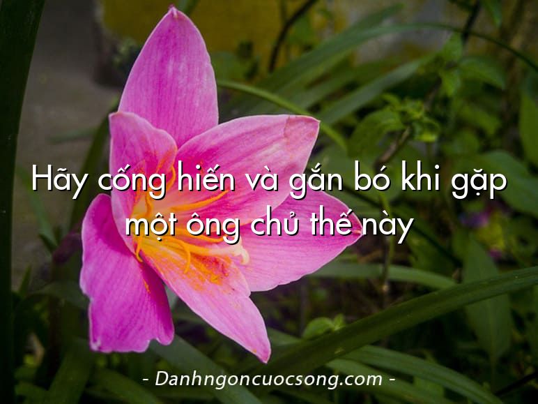 Hãy cống hiến và gắn bó khi gặp một ông chủ thế này