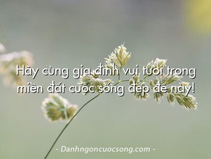 Hãy cùng gia đình vui tươi trong miền đất cuộc sống đẹp đẽ này!
