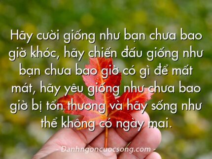 Hãy cười giống như bạn chưa bao giờ khóc, hãy chiến đấu giống như bạn chưa bao giờ có gì để mất mát, hãy yêu giống như chưa bao giờ bị tổn thương và hãy sống như thể không có ngày mai.