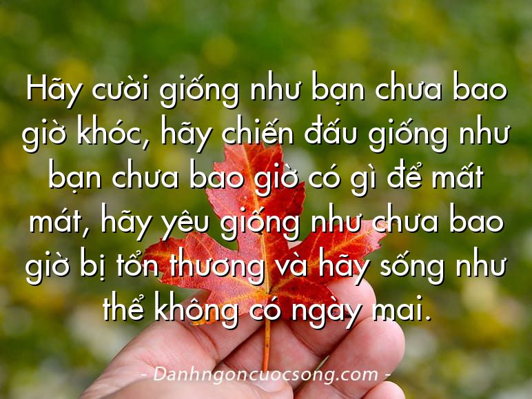 Hãy cười giống như bạn chưa bao giờ khóc, hãy chiến đấu giống như bạn chưa bao giờ có gì để mất mát, hãy yêu giống như chưa bao giờ bị tổn thương và hãy sống như thể không có ngày mai.