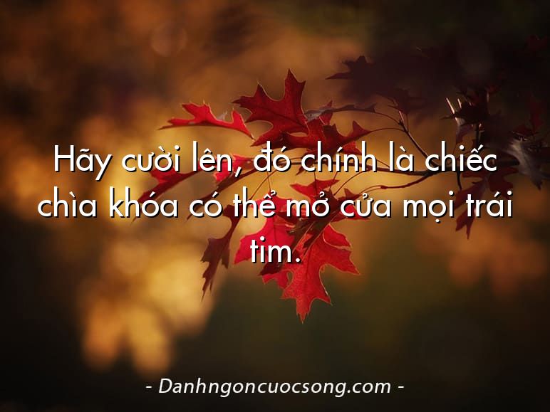 Hãy cười lên, đó chính là chiếc chìa khóa có thể mở cửa mọi trái tim.