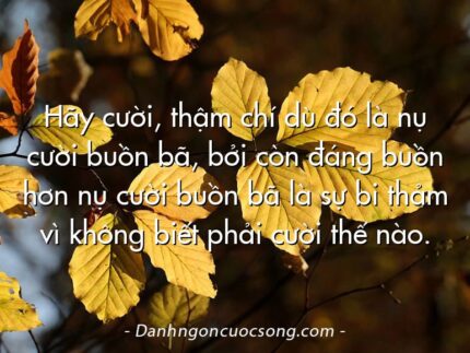 Hãy cười, thậm chí dù đó là nụ cười buồn bã, bởi còn đáng buồn hơn nụ cười buồn bã là sự bi thảm vì không biết phải cười thế nào.