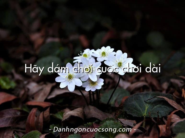 Hãy dám chơi cuộc chơi dài