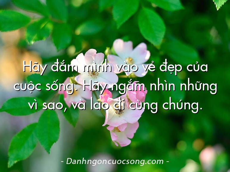 Hãy đắm mình vào vẻ đẹp của cuộc sống. Hãy ngắm nhìn những vì sao, và lao đi cùng chúng.