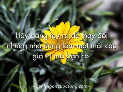Hãy dang tay ra để thay đổi nhưng nhớ đừng làm tuột mất các giá trị mà bạn có.