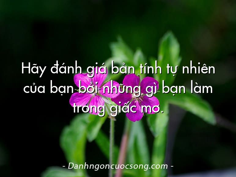 Hãy đánh giá bản tính tự nhiên của bạn bởi những gì bạn làm trong giấc mơ.