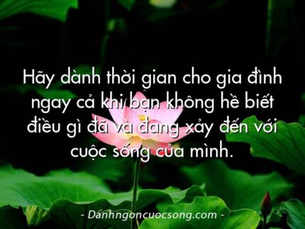 Hãy dành thời gian cho gia đình ngay cả khi bạn không hề biết điều gì đã và đang xảy đến với cuộc sống của mình.