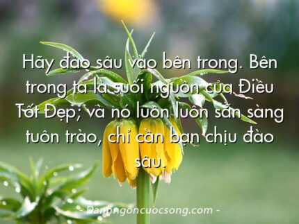 Hãy đào sâu vào bên trong. Bên trong ta là suối nguồn của Điều Tốt Đẹp; và nó luôn luôn sẵn sàng tuôn trào, chỉ cần bạn chịu đào sâu.