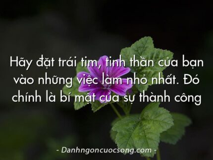 Hãy đặt trái tim, tinh thần của bạn vào những việc làm nhỏ nhất. Đó chính là bí mật của sự thành công