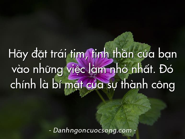 Hãy đặt trái tim, tinh thần của bạn vào những việc làm nhỏ nhất. Đó chính là bí mật của sự thành công