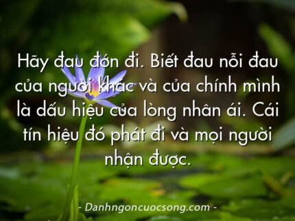 Hãy đau đớn đi. Biết đau nỗi đau của người khác và của chính mình là dấu hiệu của lòng nhân ái. Cái tín hiệu đó phát đi và mọi người nhận được.