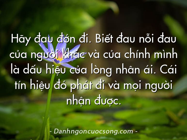 Hãy đau đớn đi. Biết đau nỗi đau của người khác và của chính mình là dấu hiệu của lòng nhân ái. Cái tín hiệu đó phát đi và mọi người nhận được.