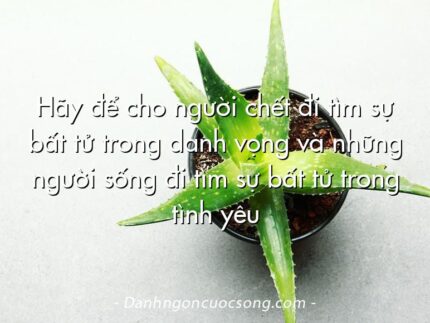 Hãy để cho người chết đi tìm sự bất tử trong danh vọng và những người sống đi tìm sự bất tử trong tình yêu