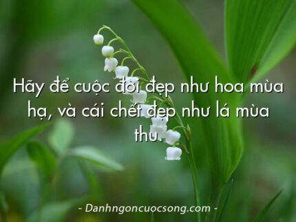 Hãy để cuộc đời đẹp như hoa mùa hạ, và cái chết đẹp như lá mùa thu.