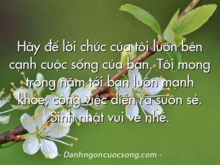 Hãy để lời chúc của tôi luôn bên cạnh cuộc sống của bạn. Tôi mong trong năm tới bạn luôn mạnh khỏe, công việc diễn ra suôn sẻ. Sinh nhật vui vẻ nhé.