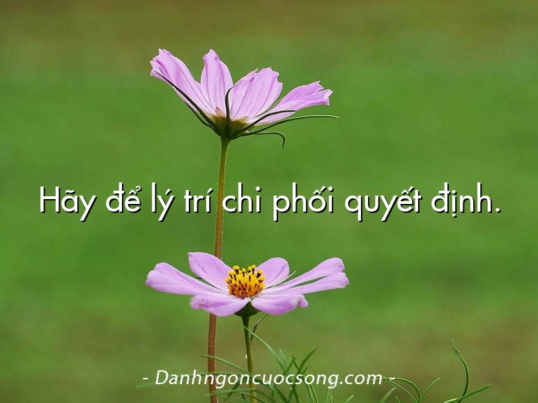 Hãy để lý trí chi phối quyết định.