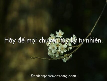 Hãy để mọi chuyện tùy kỳ tự nhiên.