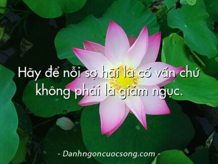 Hãy để nỗi sợ hãi là cố vấn chứ không phải là giám ngục.