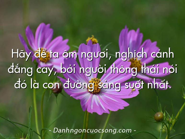 Hãy để ta ôm ngươi, nghịch cảnh đắng cay, bởi người thông thái nói đó là con đường sáng suốt nhất.