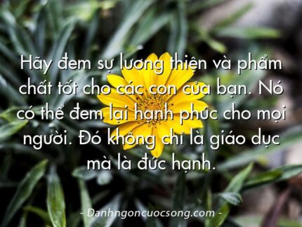 Hãy đem sự lương thiện và phẩm chất tốt cho các con của bạn. Nó có thể đem lại hạnh phúc cho mọi người. Đó không chỉ là giáo dục mà là đức hạnh.