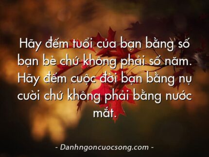 Hãy đếm tuổi của bạn bằng số bạn bè chứ không phải số năm. Hãy đếm cuộc đời bạn bằng nụ cười chứ không phải bằng nước mắt.