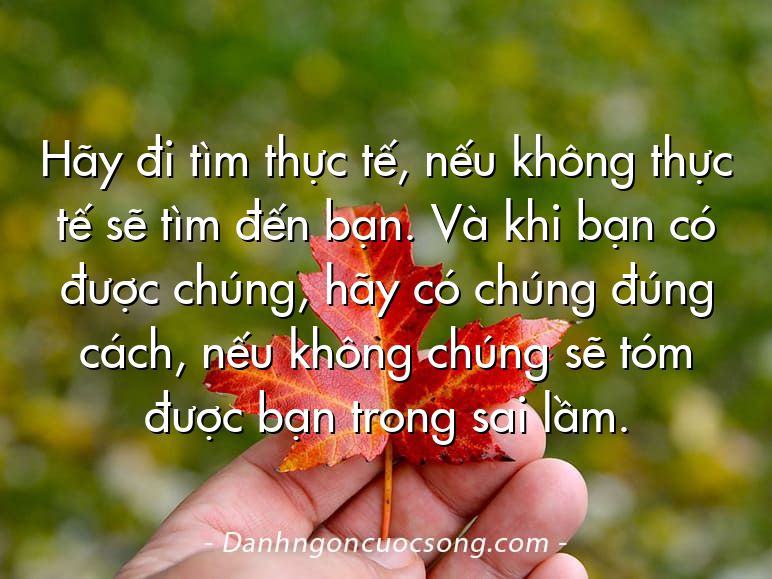Hãy đi tìm thực tế, nếu không thực tế sẽ tìm đến bạn. Và khi bạn có được chúng, hãy có chúng đúng cách, nếu không chúng sẽ tóm được bạn trong sai lầm.