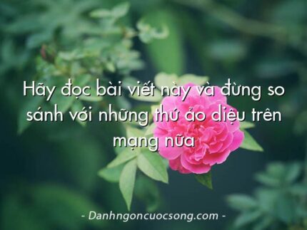 Hãy đọc bài viết này và đừng so sánh với những thứ ảo diệu trên mạng nữa