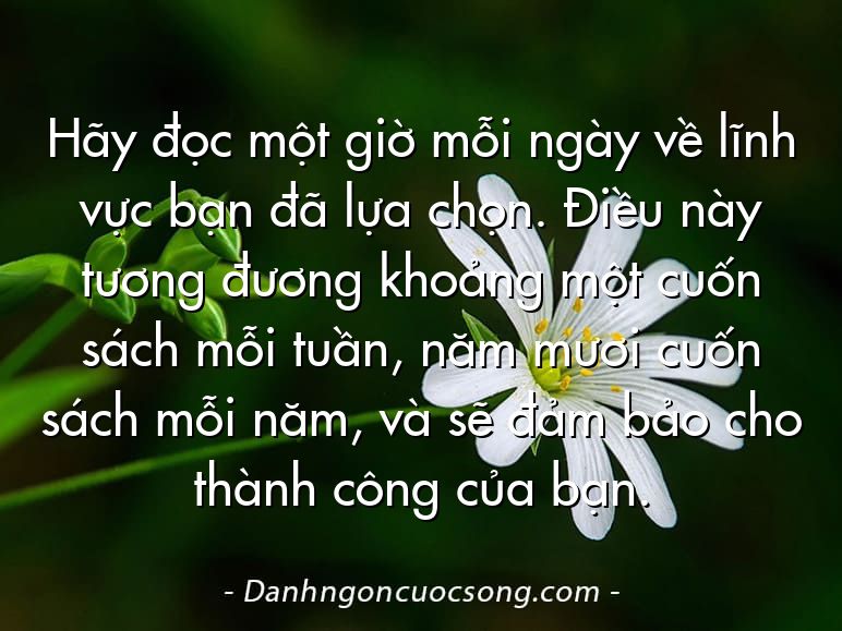 Hãy đọc một giờ mỗi ngày về lĩnh vực bạn đã lựa chọn. Điều này tương đương khoảng một cuốn sách mỗi tuần, năm mươi cuốn sách mỗi năm, và sẽ đảm bảo cho thành công của bạn.
