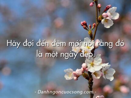 Hãy đợi đến đêm mới nói rằng đó là một ngày đẹp.