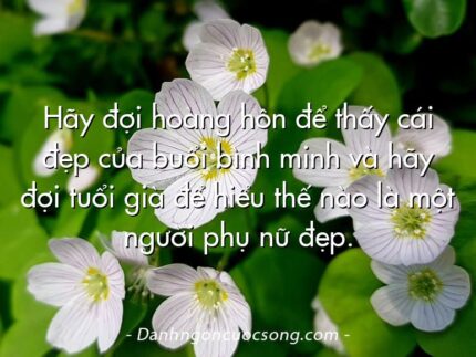 Hãy đợi hoàng hôn để thấy cái đẹp của buổi bình minh và hãy đợi tuổi già để hiểu thế nào là một người phụ nữ đẹp.