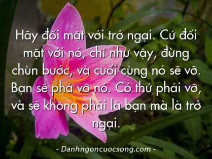 Hãy đối mặt với trở ngại. Cứ đối mặt với nó, chỉ như vậy, đừng chùn bước, và cuối cùng nó sẽ vỡ. Bạn sẽ phá vỡ nó. Có thứ phải vỡ, và sẽ không phải là bạn mà là trở ngại.