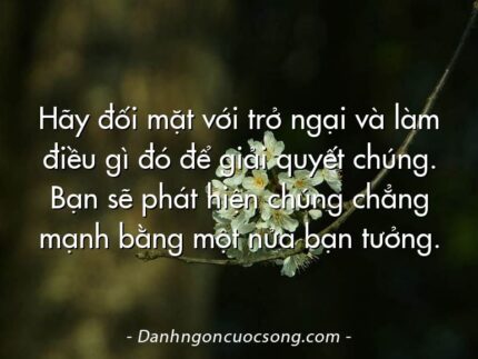 Hãy đối mặt với trở ngại và làm điều gì đó để giải quyết chúng. Bạn sẽ phát hiện chúng chẳng mạnh bằng một nửa bạn tưởng.