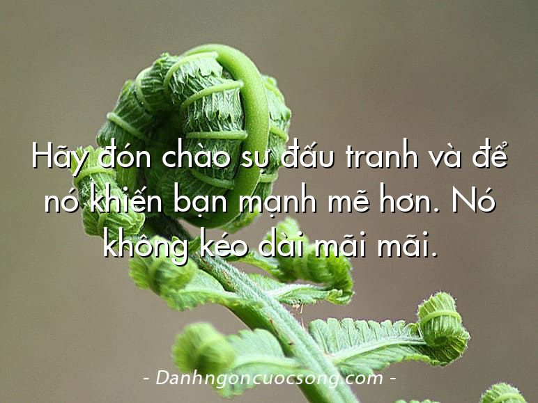 Hãy đón chào sự đấu tranh và để nó khiến bạn mạnh mẽ hơn. Nó không kéo dài mãi mãi.