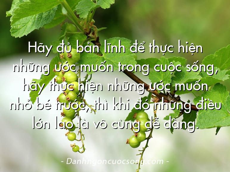 Hãy đủ bản lĩnh để thực hiện những ước muốn trong cuộc sống, hãy thực hiện những ước muốn nhỏ bé trước, thì khi đó những điều lớn lao là vô cùng dễ dàng.