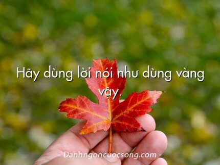 Hãy dùng lời nói như dùng vàng vậy.