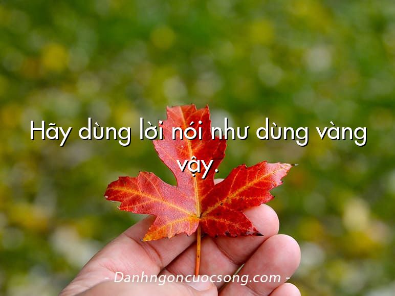 Hãy dùng lời nói như dùng vàng vậy.