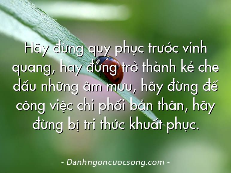 Hãy đừng quy phục trước vinh quang, hay đừng trở thành kẻ che dấu những âm mưu, hãy đừng để công việc chi phối bản thân, hãy đừng bị tri thức khuất phục.