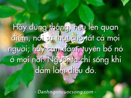 Hãy đứng thẳng, nêu lên quan điểm, nói sự thật cho tất cả mọi người; hãy can đảm, tuyên bố nó ở mọi nơi. Người ta chỉ sống khi dám làm điều đó.