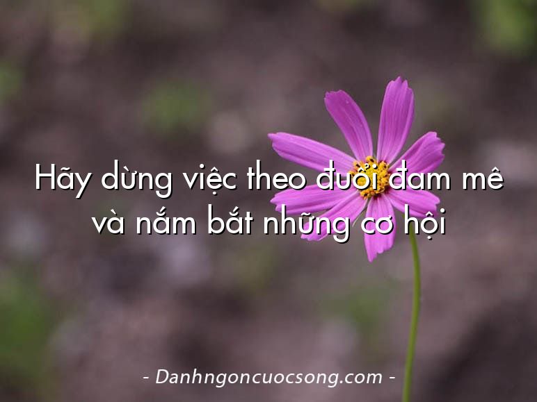 Hãy dừng việc theo đuổi đam mê và nắm bắt những cơ hội