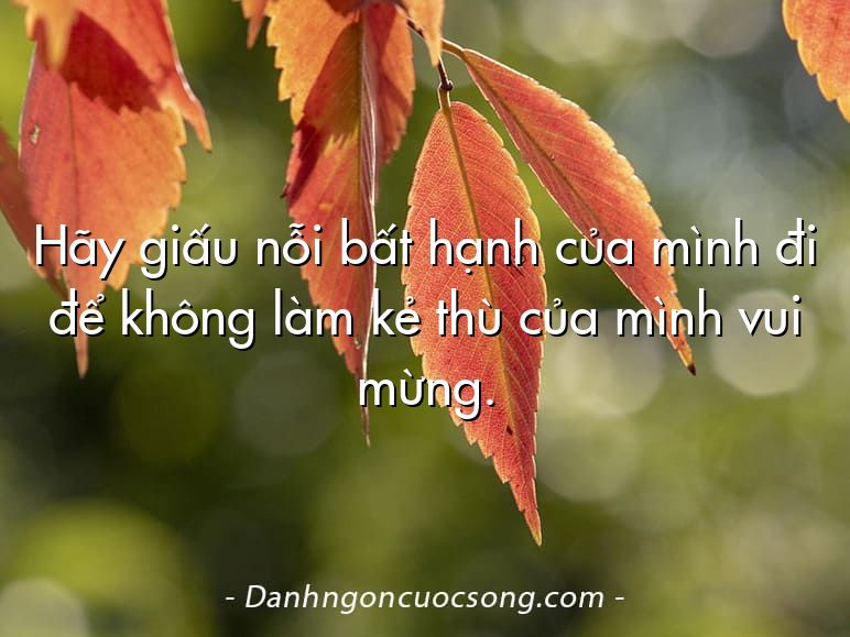 Hãy giấu nỗi bất hạnh của mình đi để không làm kẻ thù của mình vui mừng.