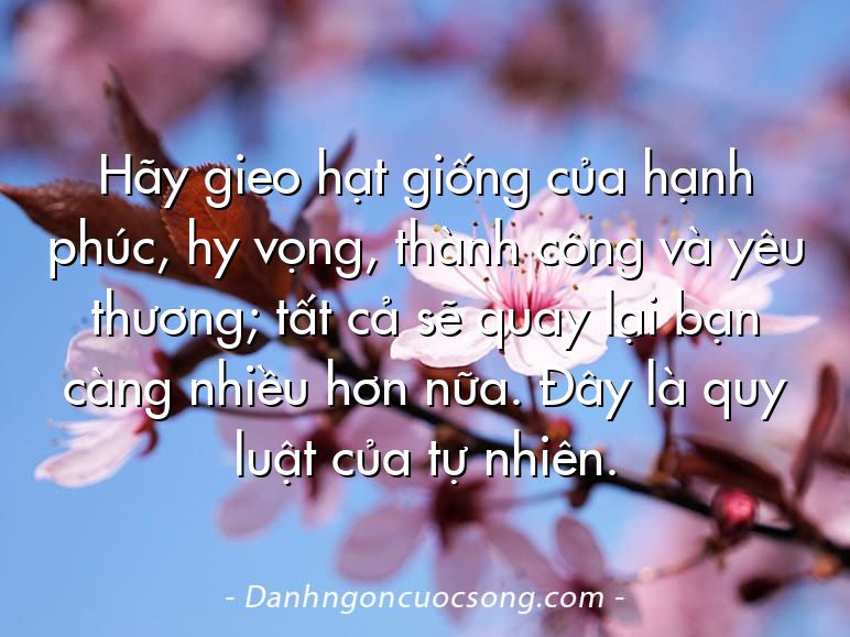 Hãy gieo hạt giống của hạnh phúc, hy vọng, thành công và yêu thương; tất cả sẽ quay lại bạn càng nhiều hơn nữa. Đây là quy luật của tự nhiên.