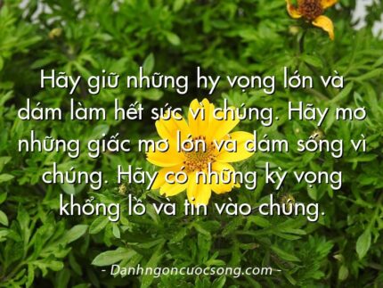 Hãy giữ những hy vọng lớn và dám làm hết sức vì chúng. Hãy mơ những giấc mơ lớn và dám sống vì chúng. Hãy có những kỳ vọng khổng lồ và tin vào chúng.