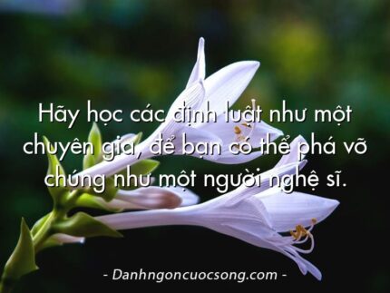 Hãy học các định luật như một chuyên gia, để bạn có thể phá vỡ chúng như một người nghệ sĩ.
