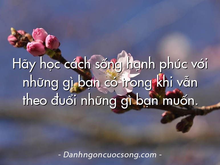 Hãy học cách sống hạnh phúc với những gì bạn có trong khi vẫn theo đuổi những gì bạn muốn.