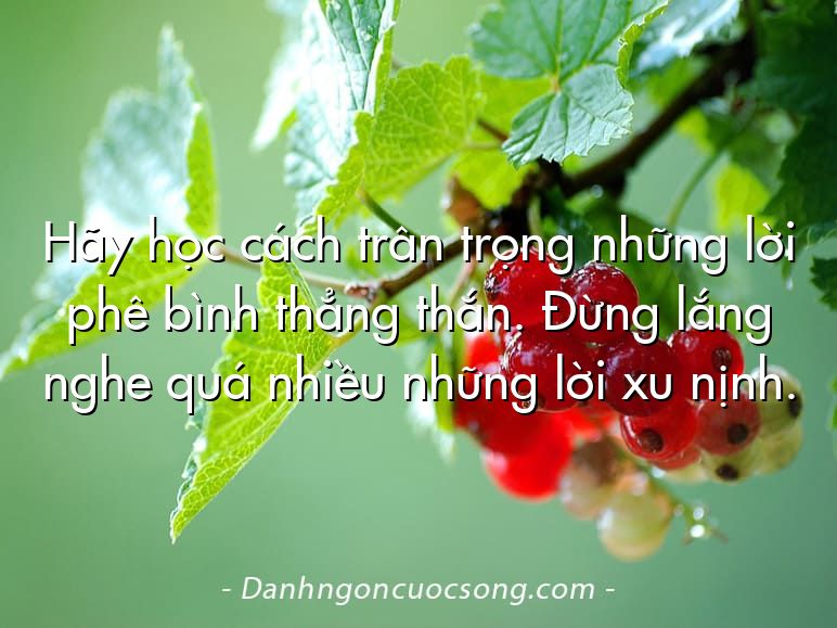 Hãy học cách trân trọng những lời phê bình thẳng thắn. Đừng lắng nghe quá nhiều những lời xu nịnh.