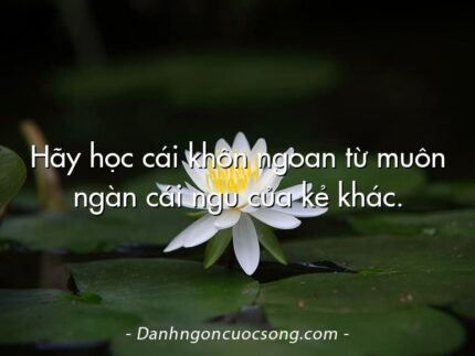 Hãy học cái khôn ngoan từ muôn ngàn cái ngu của kẻ khác.